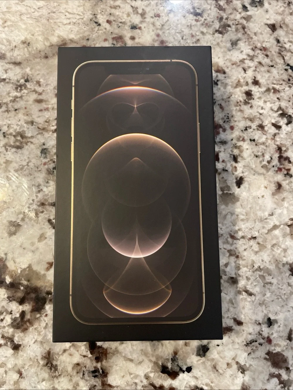 Apple iPhone 12 Pro Max Black empty box